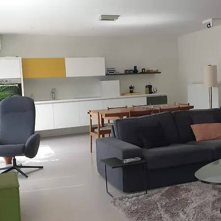 Modern Stylisch Loft Διαμέρισμα Άσσελτ